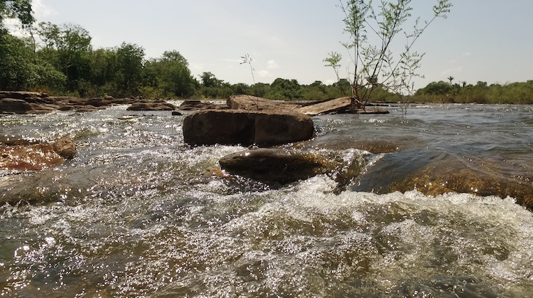 Rapids on the Teles Pires River. The cultural impacts of the destruction of Sete Quedas, a sacred site comparable to the Christian “Heaven”, continue to reverberate throughout Munduruku society. Future dams and reservoirs are planned that will likely impact other sacred indigenous sacred sites. Photo: Thais Borges