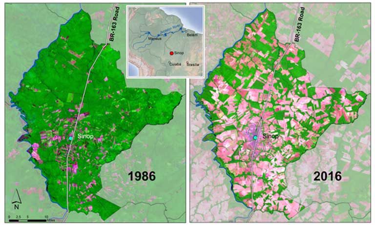 A map comparing forest cover in Sinop in 1986 and 2016. Only fragments remain. Map: Mauricio Torres