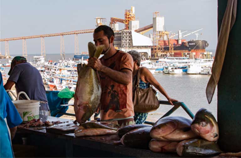The Santarém fish market. The Cargill commodities terminal looms in the background. Photo: Thais Borges