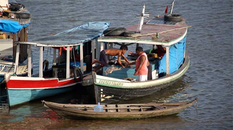 Fishermen arrive at the Santarém fish market. The Tapajós River commercial fishery is economically vital to the region, and feeds river communities. Plans to tame the Tapajós and turn it into an industrial waterway include dams and reservoirs to make way for soy barges. Experience elsewhere in the Amazon, with the Belo Monte dam on the Xingu River, for example, has shown that dams and reservoirs can cause large fish kills and endanger commercial fisheries. Photo courtesy of Mayangdi Inzaulgarat