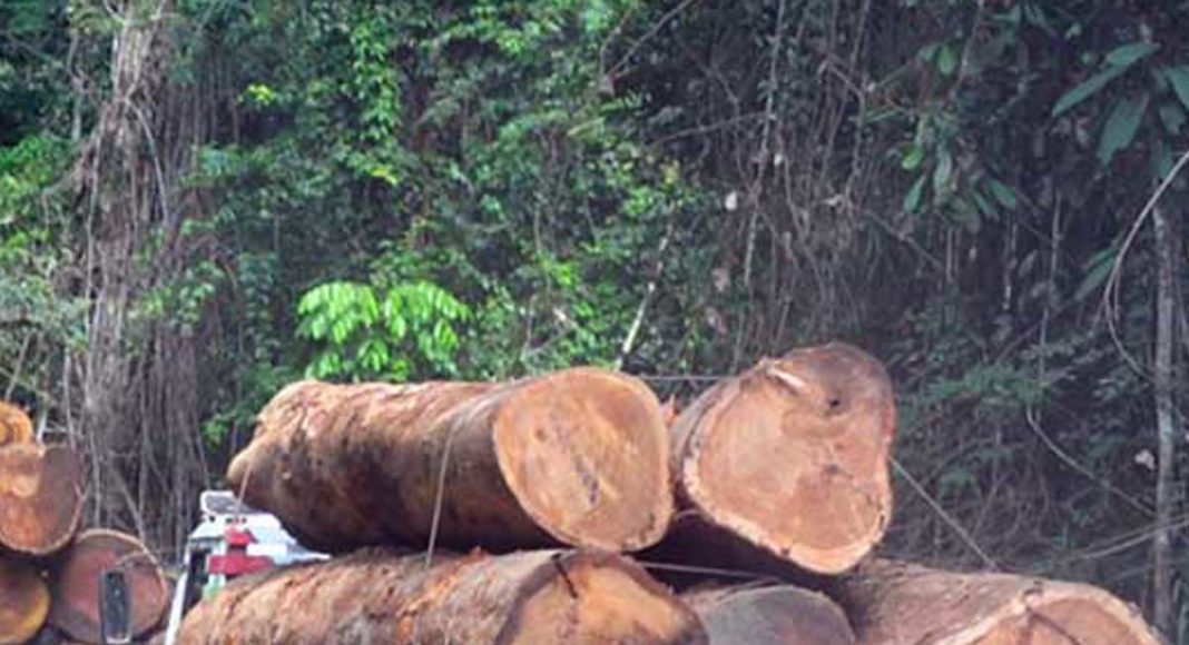 Literaire kunsten Thermisch compleet Tapajos under attack 9: Amazon Soy Moratorium: defeating deforestation or  greenwash diversion? | Latin America Bureau