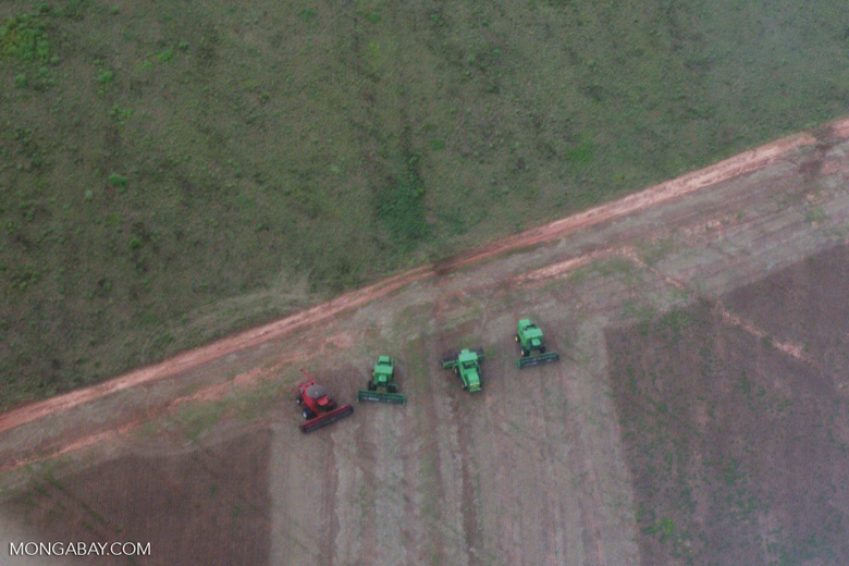 Tractors clearing the Cerrado. Soy expansion is proceeding at full throttle here. Mighty Earth, a global environmental organization, recently reported that: “Across the Cerrado, we visited 15 locations that spanned hundreds of kilometers. Over and over again, we found the same thing: vast areas of savanna recently converted to enormous soybean monocultures that stretch to the horizon. The farms were typically large commercial operations spread over thousands of hectares. We used aerial drones to follow tractors as they ripped up the ancient savanna, and watched soybean farmers use systematic fires to burn the debris and clear the land — sending acrid smoke across the whole region.” Photo: Rhett A. Butler