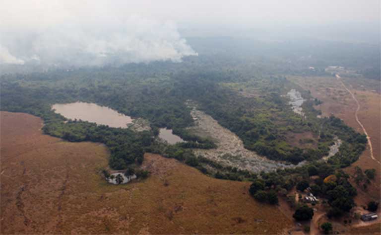 An area of Amazon forest cleared by the AJ Vilela gang near the Baú indigenous reserve. Photo courtesy of Brazil’s Environmental Protection Directorate (Diretoria de Proteção Ambiental – IBAMA)