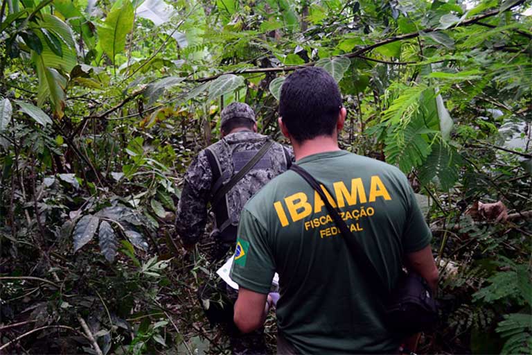IBAMA officials move through the rainforest in hopes of making a bust in 2014. They were acting as part of operation Green Wave, which sought the arrest of land thieves who had illegally cut trees inside the Flona. Governmental budget cuts have significantly reduced federal enforcement efforts there, even though this conservation unit has suffered very high deforestation due to land theft. Photo courtesy of IBAMA
