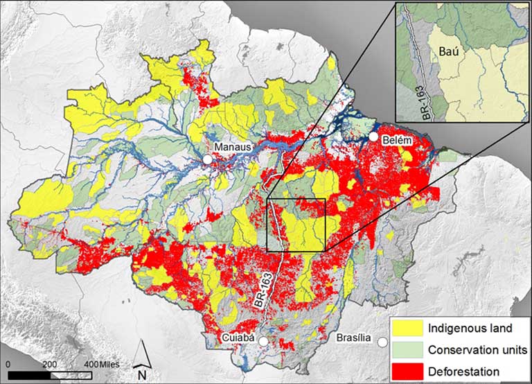 Indigenous reserves and conservation units in the Amazon. Map: Mauricio Torres