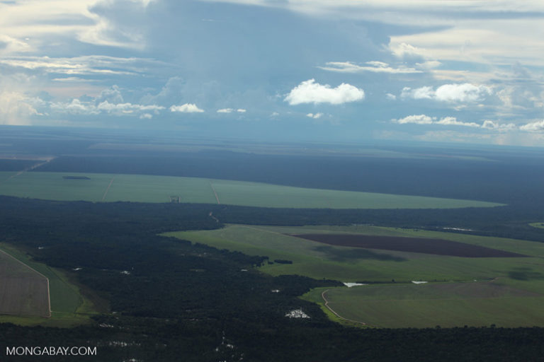 A patchwork of legal forest reserves, pasture and soy farms in the Brazilian Amazon. The bancada ruralista agribusiness lobby, which includes powerful ranchers and soy growers, has long put pressure on government to rollback indigenous land rights. President Michel Temer received crucial support from the bancada ruralista in his controversial 2016 bid for power, and is now taking steps to reduce indigenous rights and end recognition of new indigenous territories. Photo: Rhett A. Butler