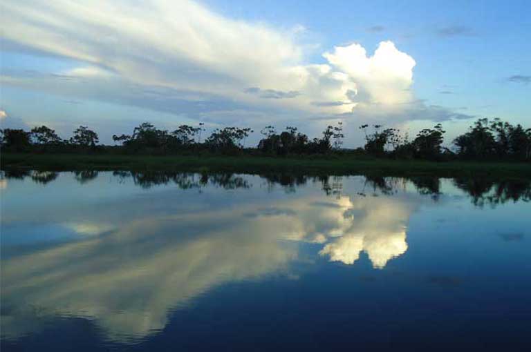 The Tapajós River runs through the heart of the Amazon. The government of Dilma Rousseff planned to dam it and its tributaries with more than 40 dams. Recently, the Congress tried but failed to approve the building of an industrial waterway that would utilize the dams and their reservoirs to transport soy. Photo courtesy of International Rivers