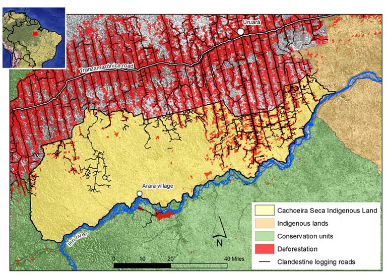 The Amazon: loggers attack environment officials | Latin America Bureau