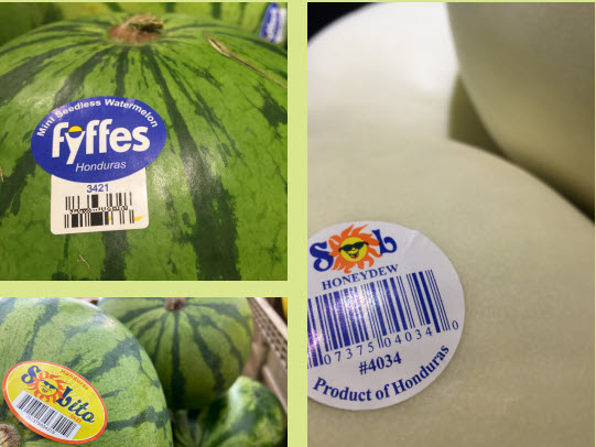Fyffes melon brands