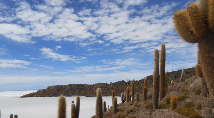 Isla Incahuasi, Salar de Uyuni, southwestern Bolivia