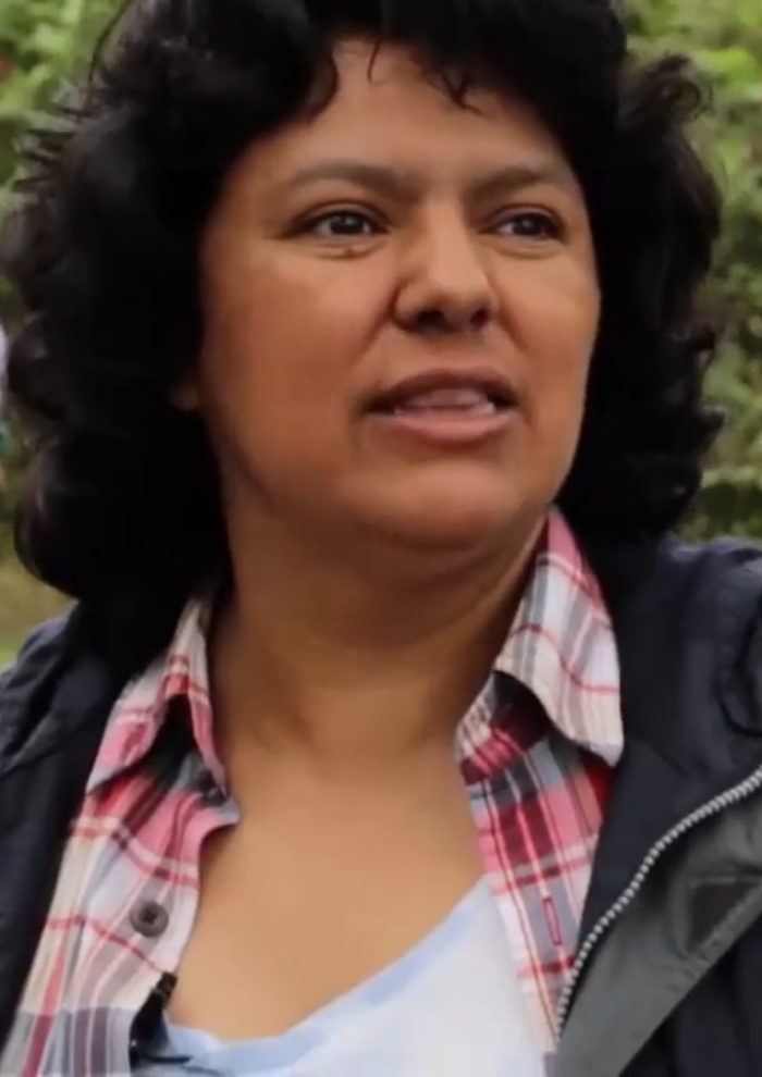 Blood River: kehidupan dan pembunuhan Berta Cáceres