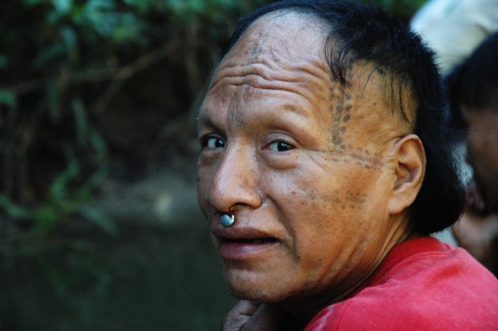 Peru: ancaman baru bagi cadangan Amazon