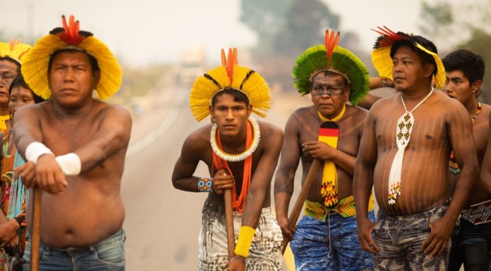 Brazil’s Indigenous groups demand a voice in new soybean railway project. Mongabay/Latin America Bureau