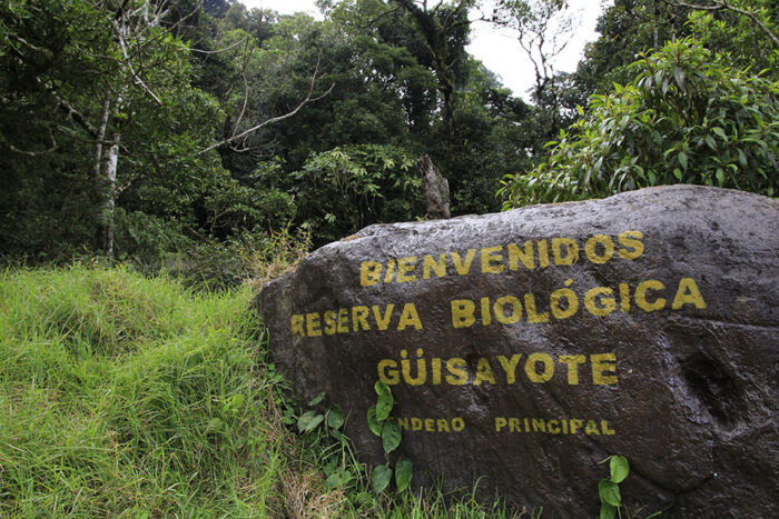 La Reserva Biológica Güisayote Honduras don pedro pinto