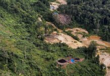Survival International Report: Profit-seeking threatens to wipe out the world’s last uncontacted tribes