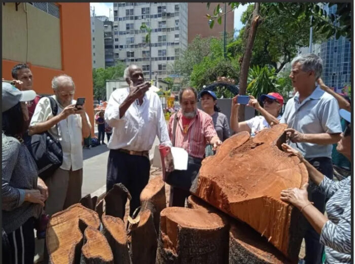 Aníbal and neighbours gather around the felled trees