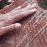 Aníbal Isturdes places his hand on the mutilated trunk