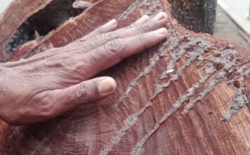 Aníbal Isturdes places his hand on the mutilated trunk
