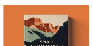 Small Earthquakes Shafik Meghji