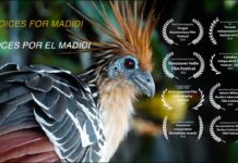 Bolivia: Voices for Madidi