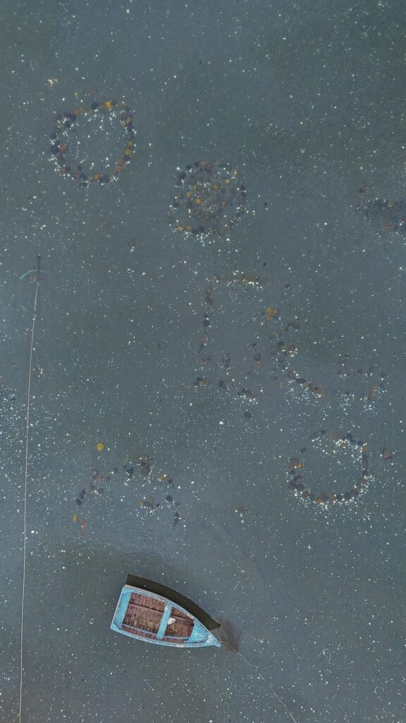 Traditional vividero along the coast near Quellón, used by Indigenous fishers to cultivate and harvest shellfish. Photo: Gracie Escorza P