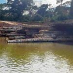 Uncontacted tribe risk extinction as global forest certification system fails to act Peru Mashco Piro illegal bridge