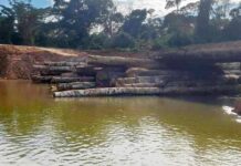 Uncontacted tribe risk extinction as global forest certification system fails to act Peru Mashco Piro illegal bridge