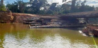 Uncontacted tribe risk extinction as global forest certification system fails to act Peru Mashco Piro illegal bridge