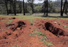 São Paulo state buries identified bodies in anonymous graves Public mass graves São Paulo Indigente Ali Rocha