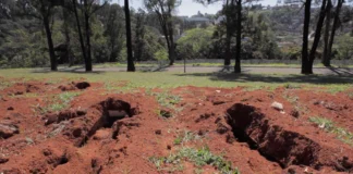 São Paulo state buries identified bodies in anonymous graves Public mass graves São Paulo Indigente Ali Rocha