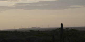 An existing windfarm in Cabo de la Vela, La Guajira. Still from the upcoming documentary 'Between Two Worlds' directed by Eliana Lafone