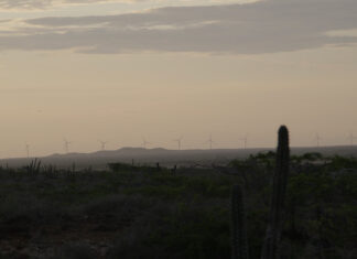 An existing windfarm in Cabo de la Vela, La Guajira. Still from the upcoming documentary 'Between Two Worlds' directed by Eliana Lafone