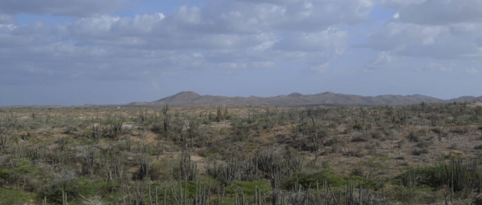 Desert landscapes of La Guajira where Cindy's community lives. Still from the upcoming documentary 'Between Two Worlds' directed by Eliana Lafone