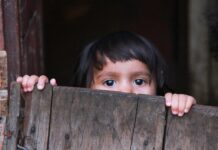 The Amazon is a rear-view mirror for the world