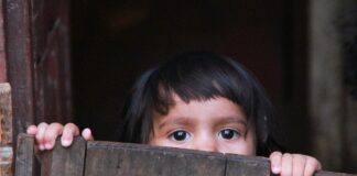 The Amazon is a rear-view mirror for the world