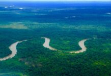 Art Against Extraction: ATRATO by Juan Covelli Atrato River. Photo: Wikimedia Commons 2015.