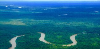 Art Against Extraction: ATRATO by Juan Covelli Atrato River. Photo: Wikimedia Commons 2015.