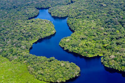 An aerial view of the Amazon rainforest near Manaus, the capital of Brazil’s Amazonas state, where deforestation and land-use change continue to drive environmental pressure.