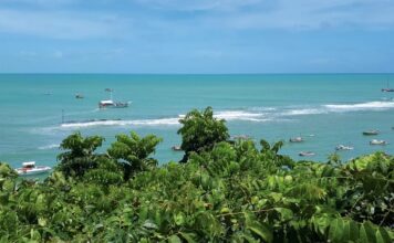 Fishing boats along the coast of Brazil in the Amazônia Azul maritime territory