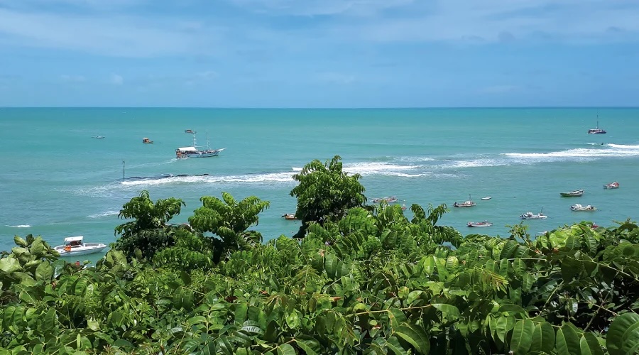Brazil: Fishing for recognition