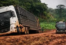 1. The road to destruction