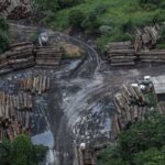 Brazil: The geopolitics of Amazon crime Aerial view of timber stockpiles beside muddy tracks and a building surrounded by vegetation.