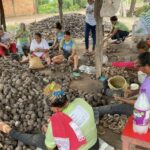 Women sit around large piles of babassu nuts under an open-sided shelter, breaking the nuts by hand.