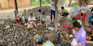 Women sit around large piles of babassu nuts under an open-sided shelter, breaking the nuts by hand.